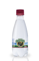 <p>PET 330ml com gás</p><span class='gas'>Com gás</span>