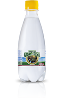 <p>PET 330ml</p><span class='gas'>Com gás</span>