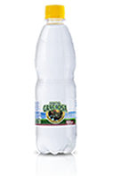 <p>PET 500ml</p><span class='gas'>Com gás</span>