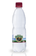 <p>PET 500ml com gás</p><span class='gas'>Com gás</span>